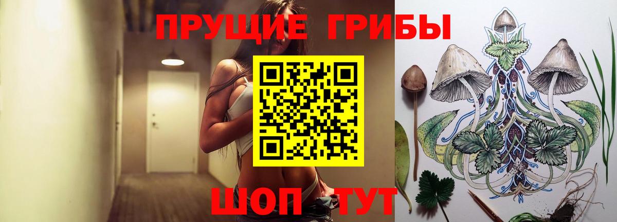 Галлюциногенные грибы ЛСД  Вход с VPN  Северобайкальск 